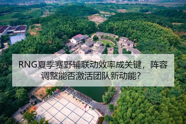 RNG夏季赛野辅联动效率成关键，阵容调整能否激活团队新动能？