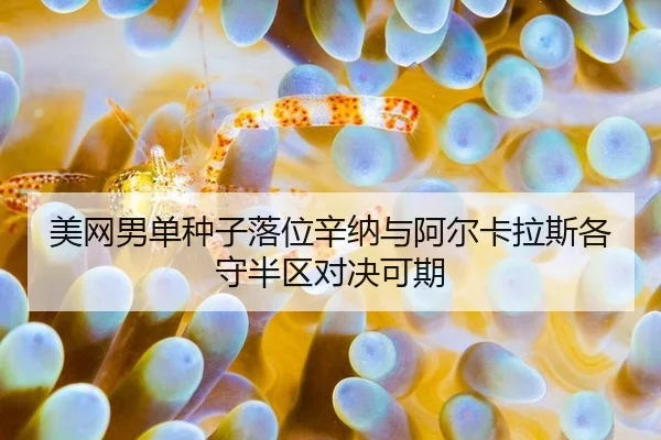 mei-wang-nan-dan-zhong-zi-luo-wei-xin-na-yu-a-er-ka-la-si-ge-shou-ban-qu-dui-jue-ke-qi-3-956.jpg